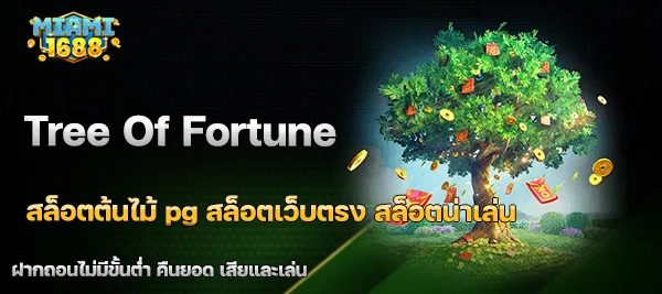 รีวิว Tree of Fortune สล็อตต้นไม้pg