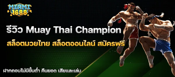 Muay Thai Champion