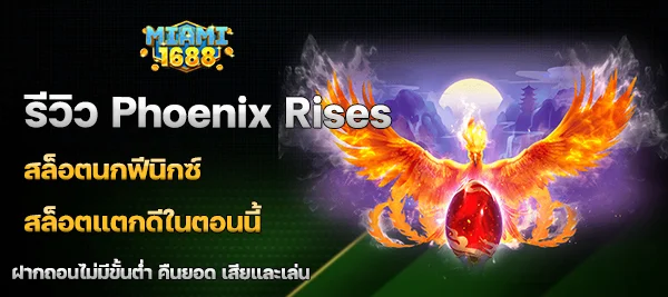 Phoenix Rises