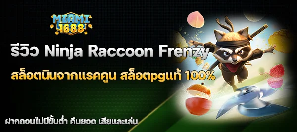 Ninja Raccoon Frenzy